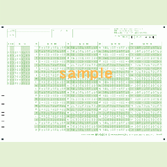 SN-0075　A4マークシート年クラス番号100問12択数字