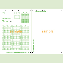 SN-0652　A4縦マーク記述混在シート60問10択カタカナ番号